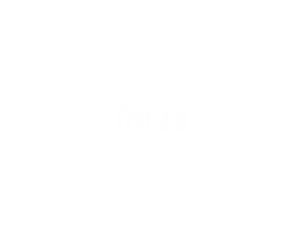 forza-camber-limited